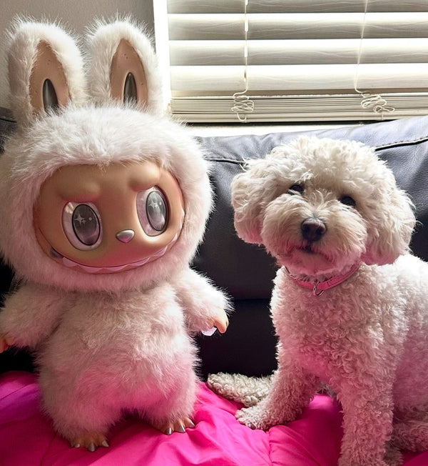 Stop Giving Your Dog a Labubu: A Collector's Plea