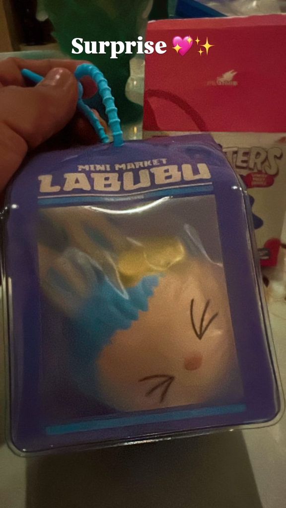 The Unspoken Truth About the LABUBU Case: A Collector's Confession