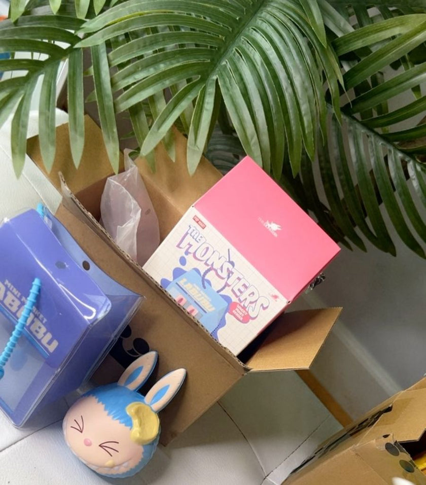 The Big LABUBU Packaging Change: A Collector's Honest Takedown