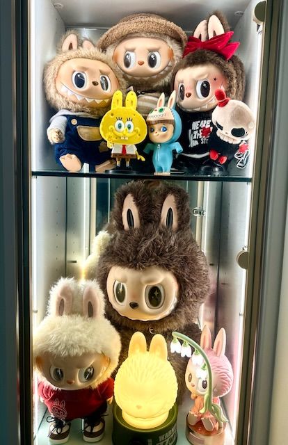 The Bubulubu Plush Craze: A Collector's Guide to What You're Actually Buying