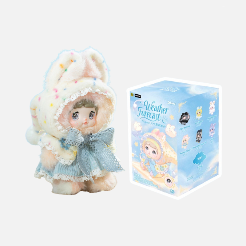 NOMMI Weather forecast Blind box