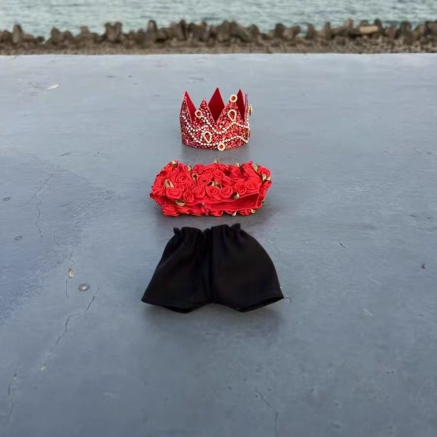 Labubu doll clothes Same model as G-Dragon's concert (No doll)labubu clothes